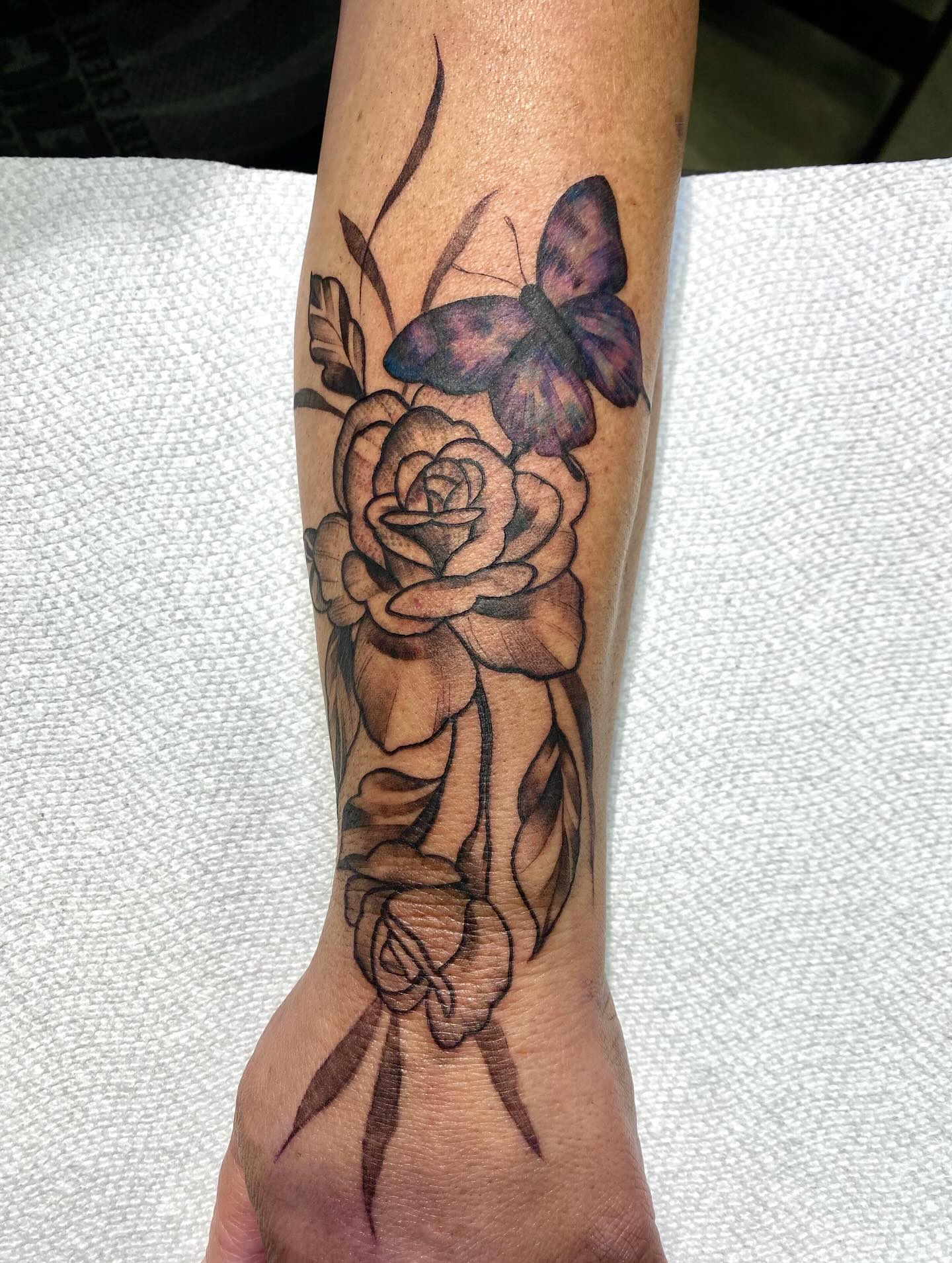 Rose & Butterfly Bloom