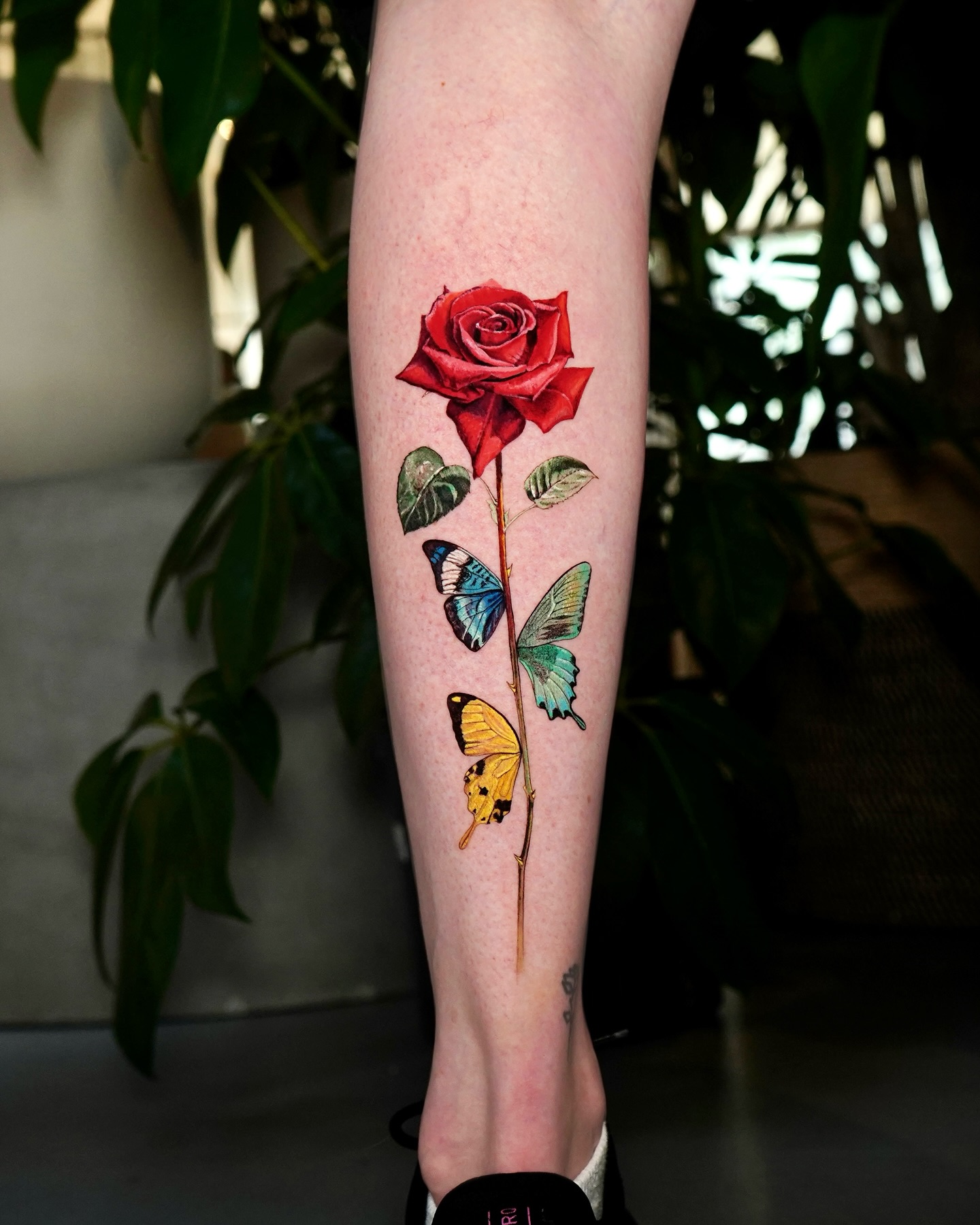 Rosebud & Butterflies