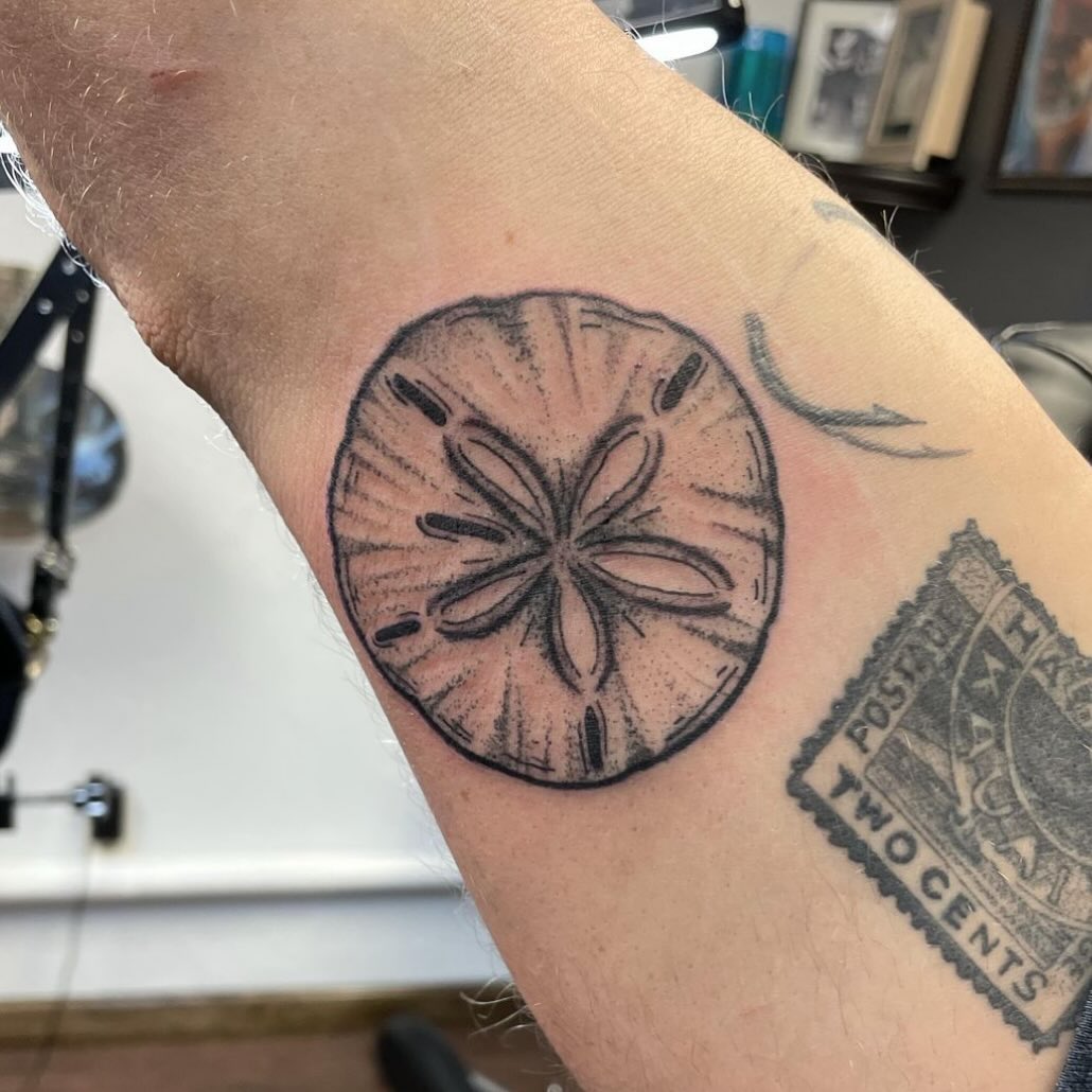 Sand Dollar Serenity