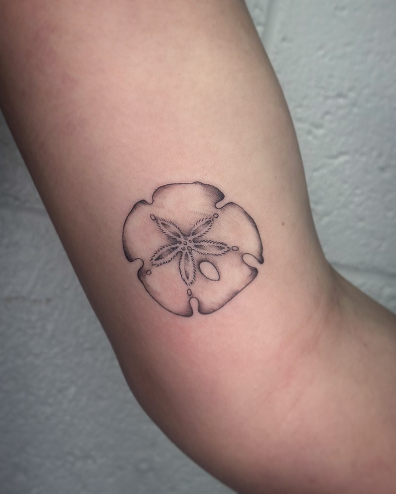 Sand Dollar Serenity