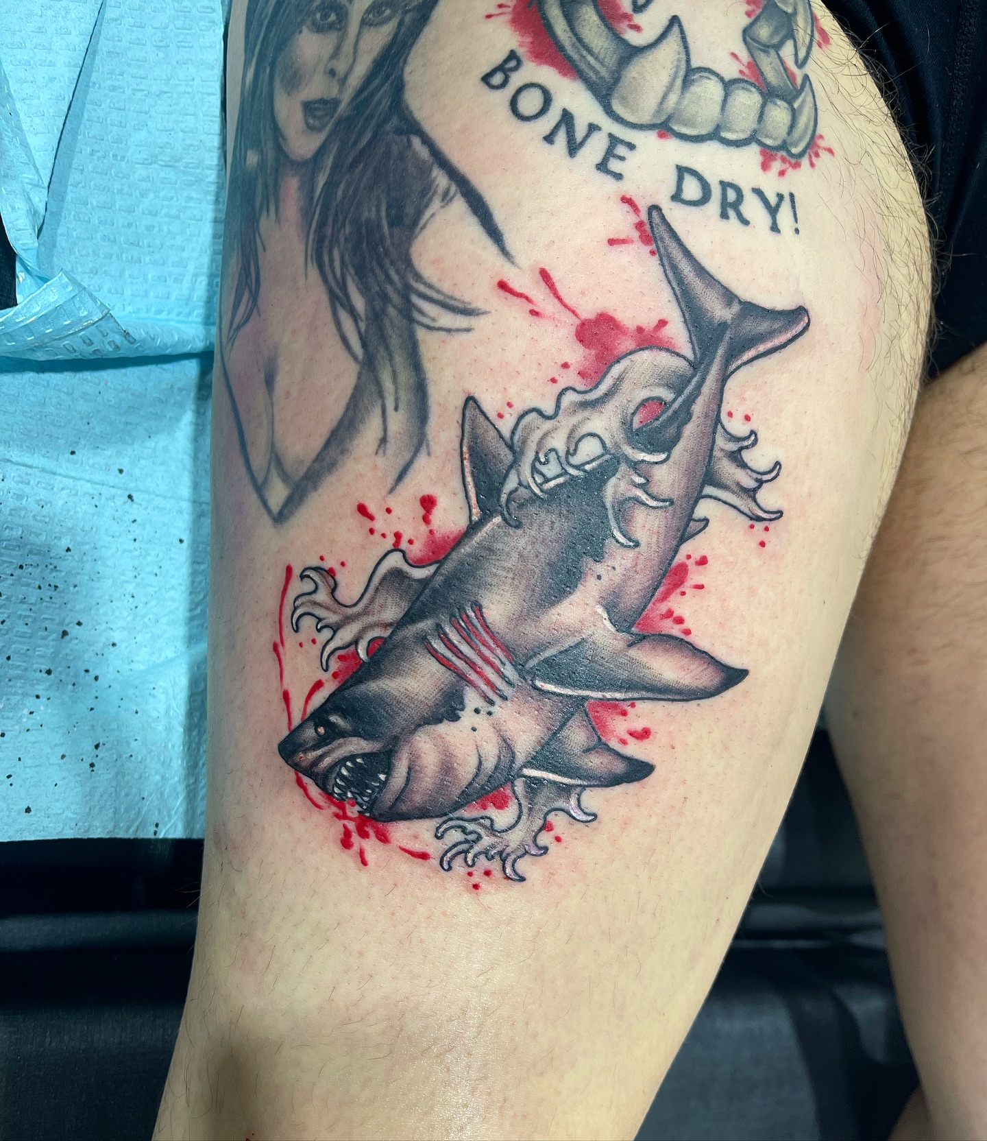 Shark with Blood Splatter
