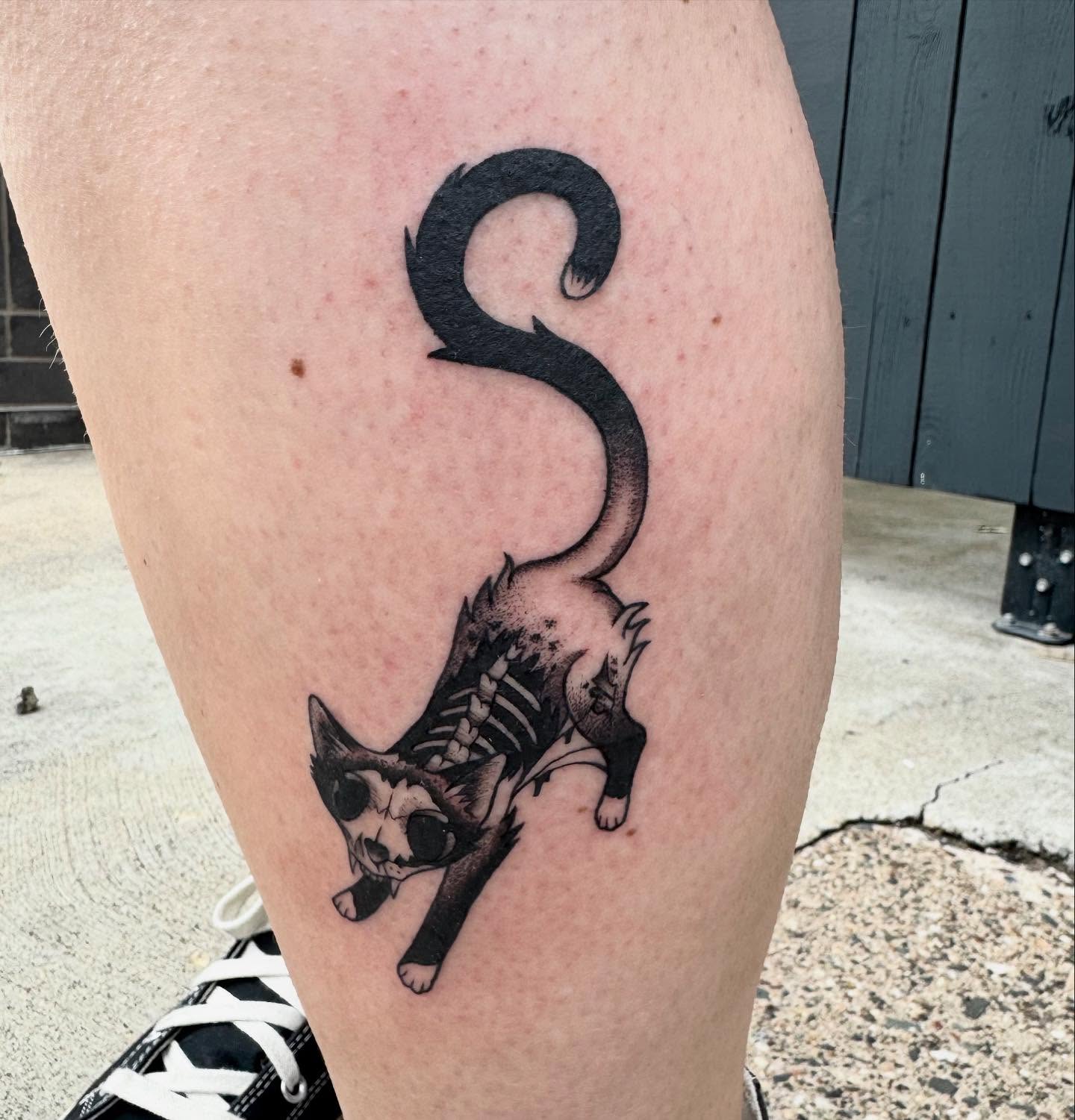 Skeletal Cat Tattoo