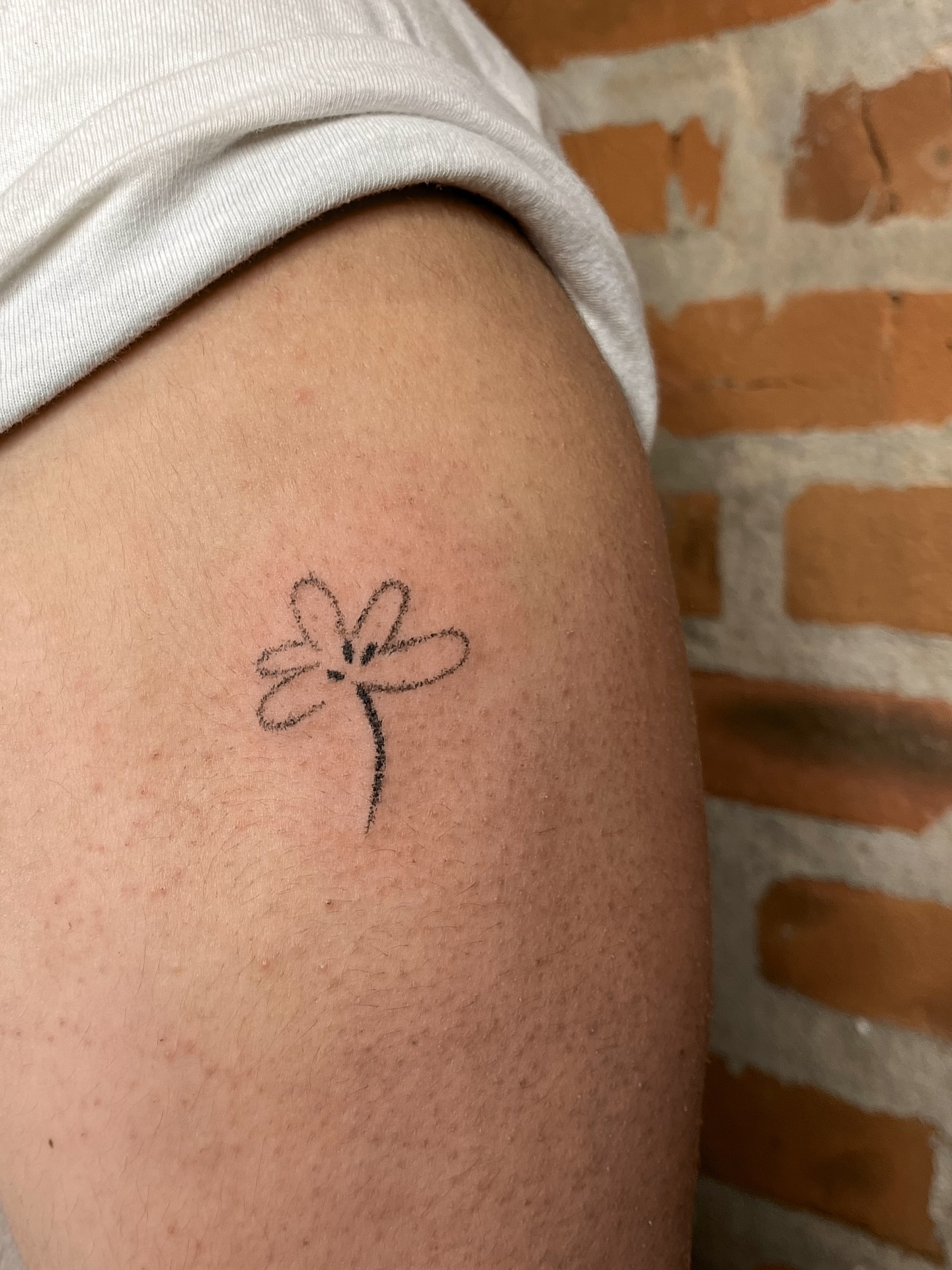 Flor minimalista en negro