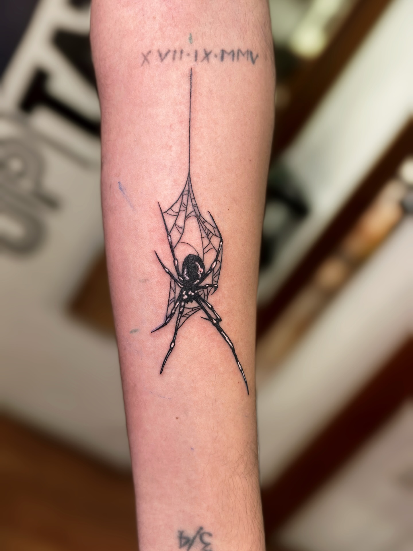Araña minimalista en brazo