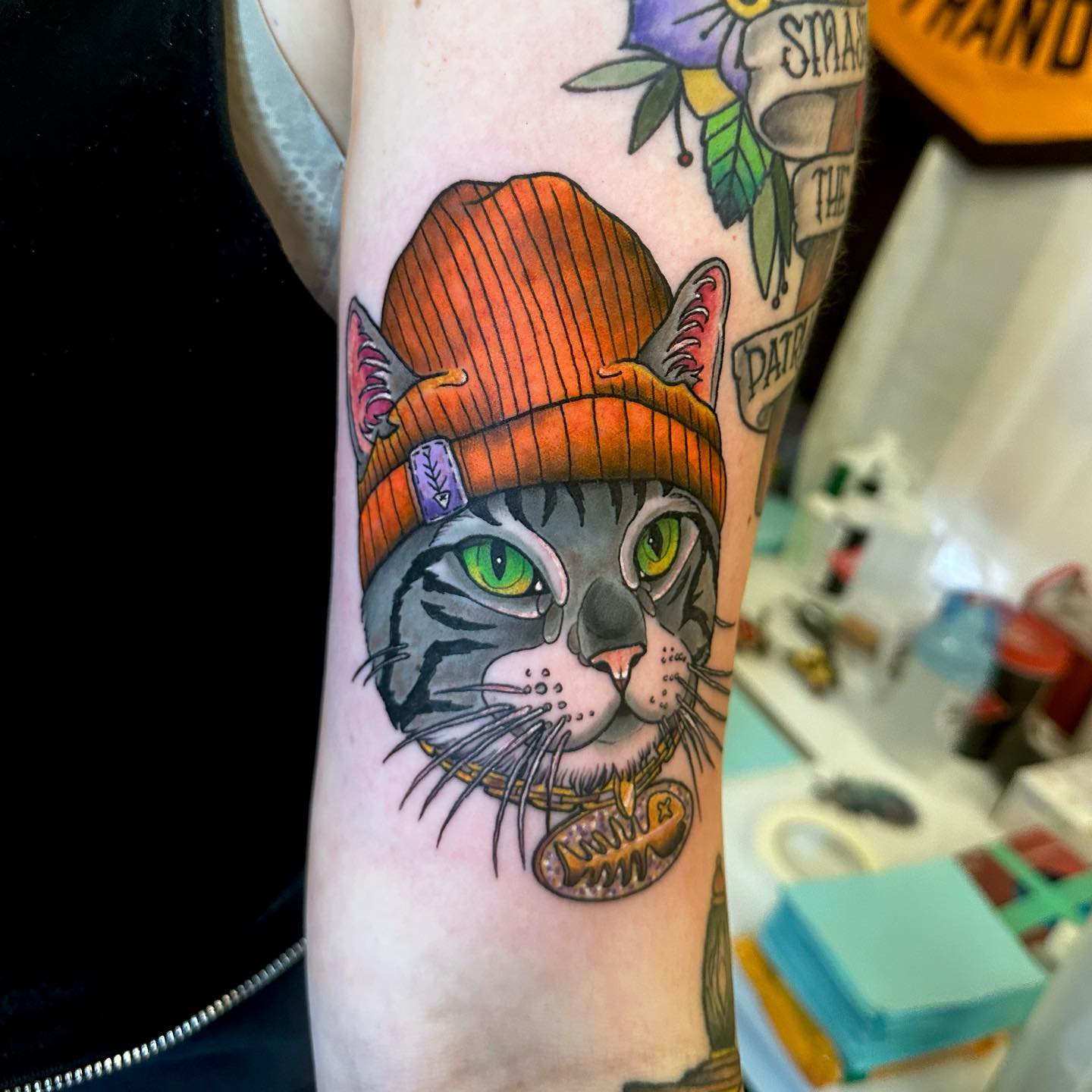 Stylish Cat Portrait