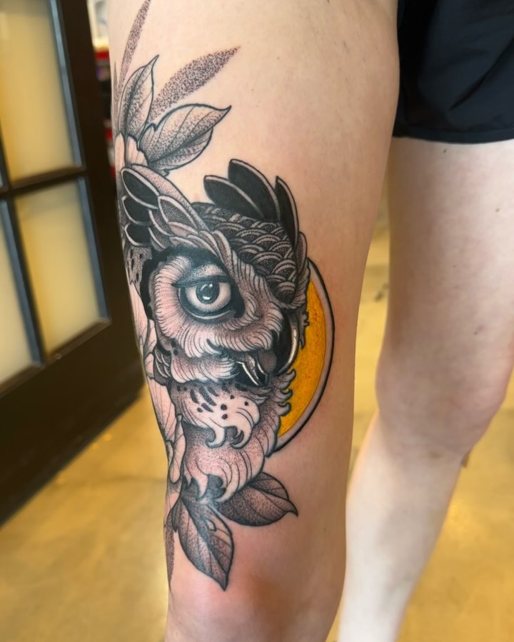 Stylized Owl Portrait