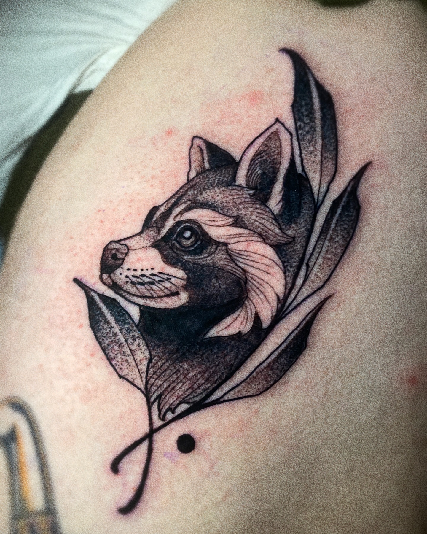 Stylized Raccoon Portrait