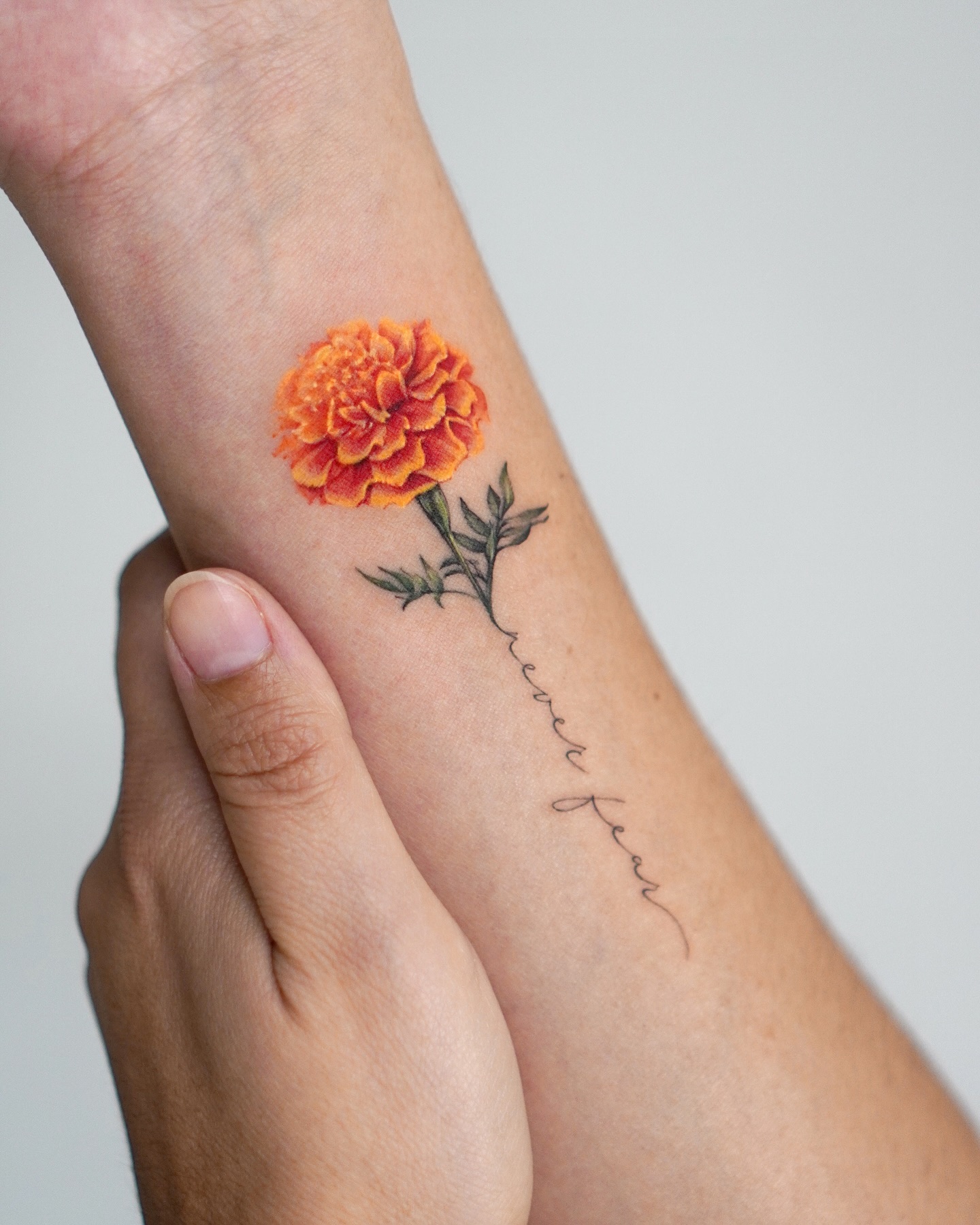 Sunlit Marigold Bloom