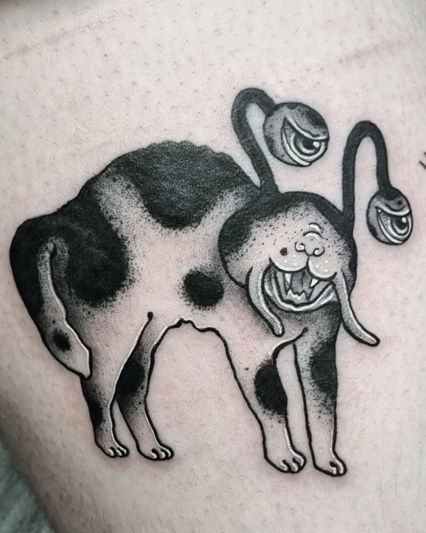 Surreal Cat Mutation
