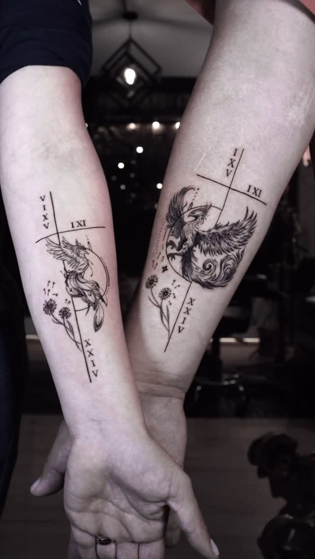 Aves y constelación gemela