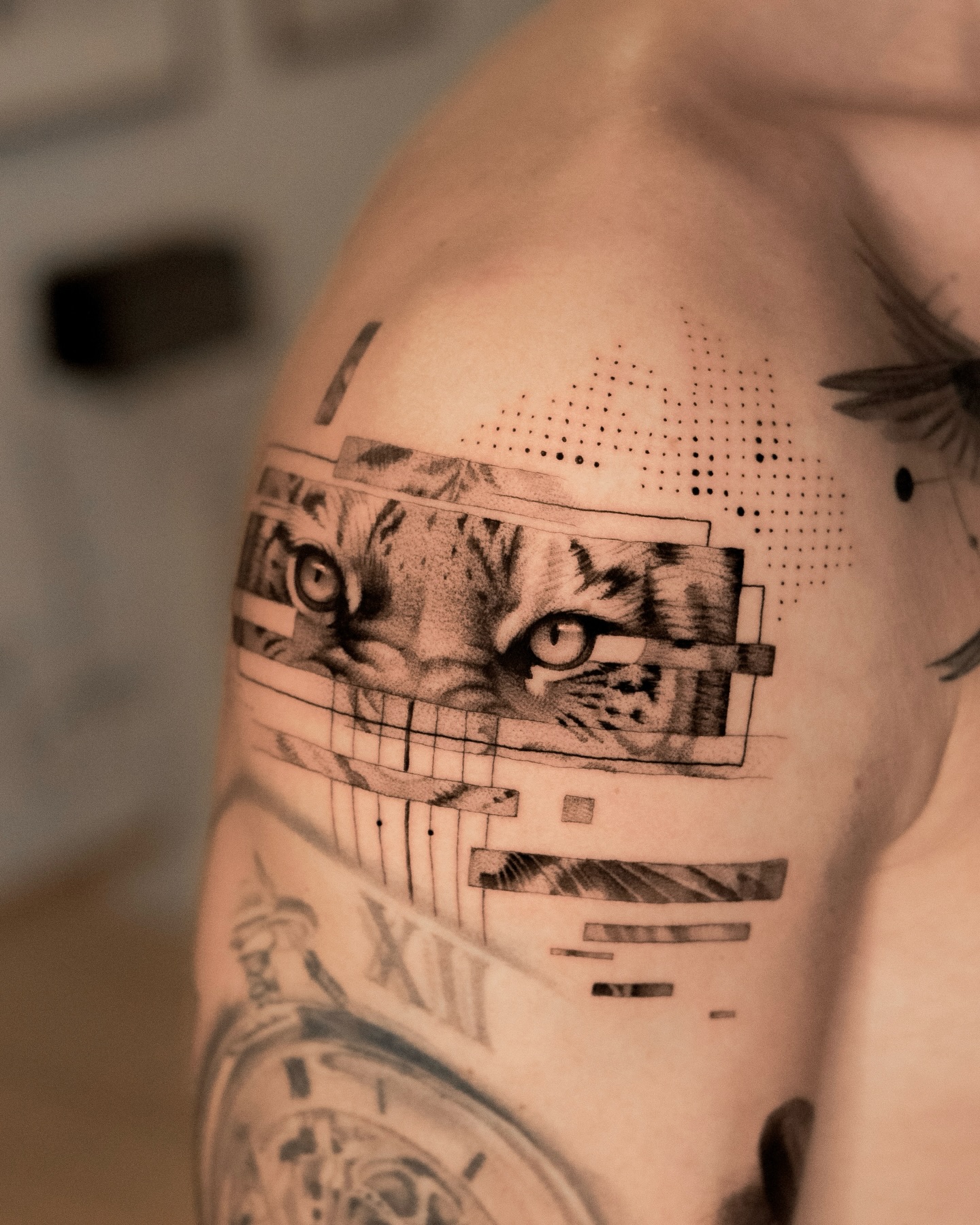 Tiger Gaze Grid