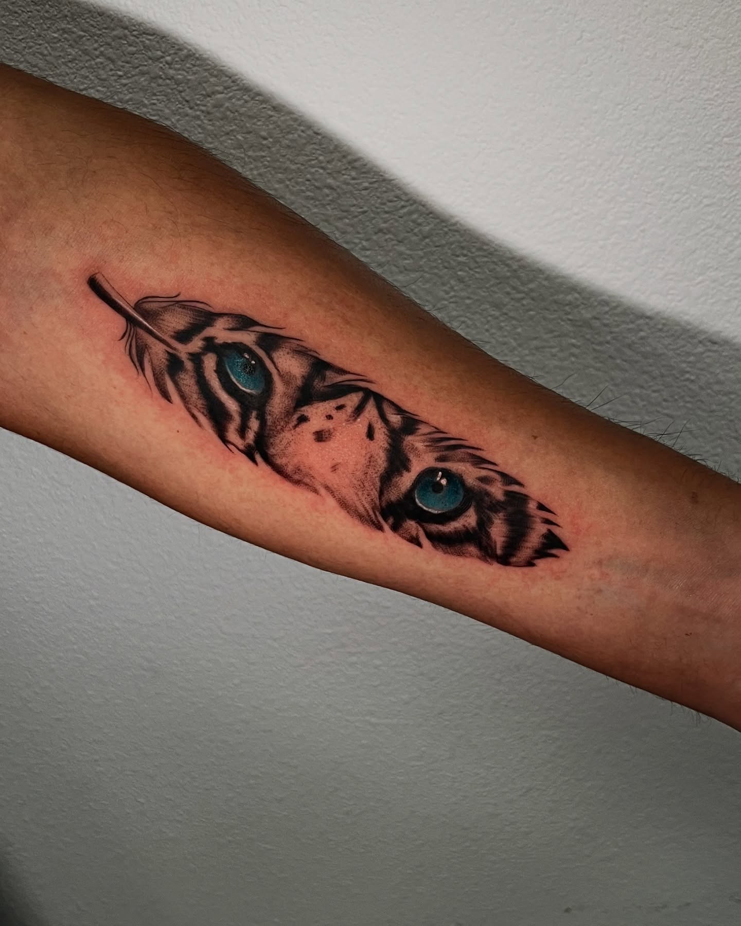 Tiger Eye Gaze