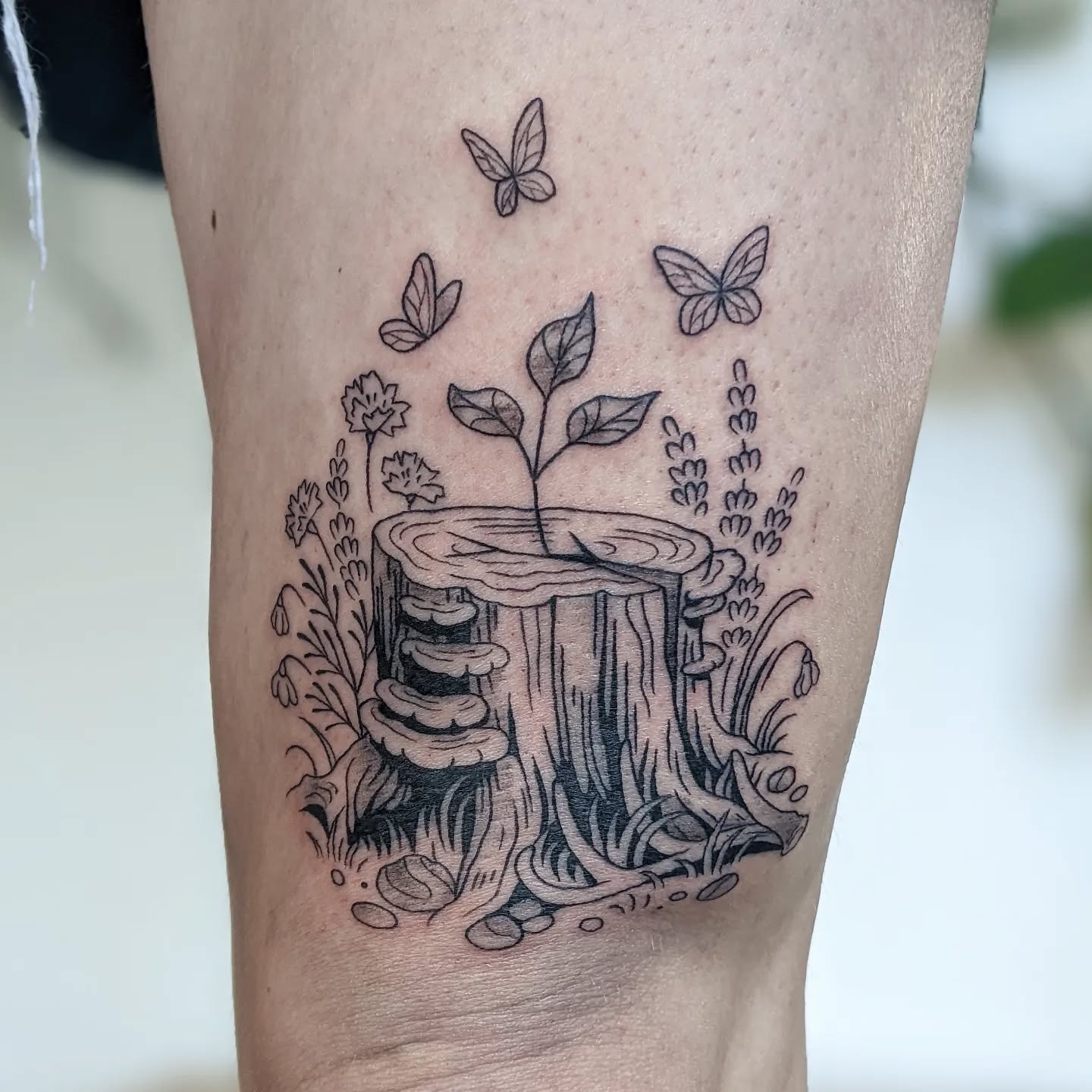 Tree Stump with Sprout