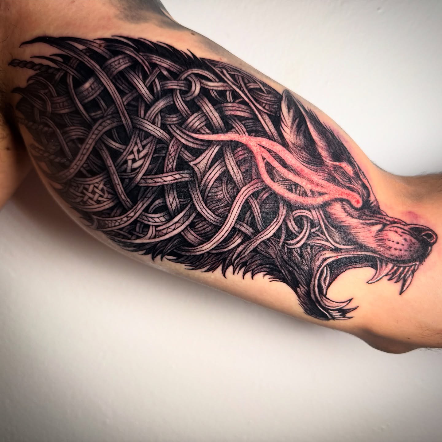 Lobo tribal en llamas