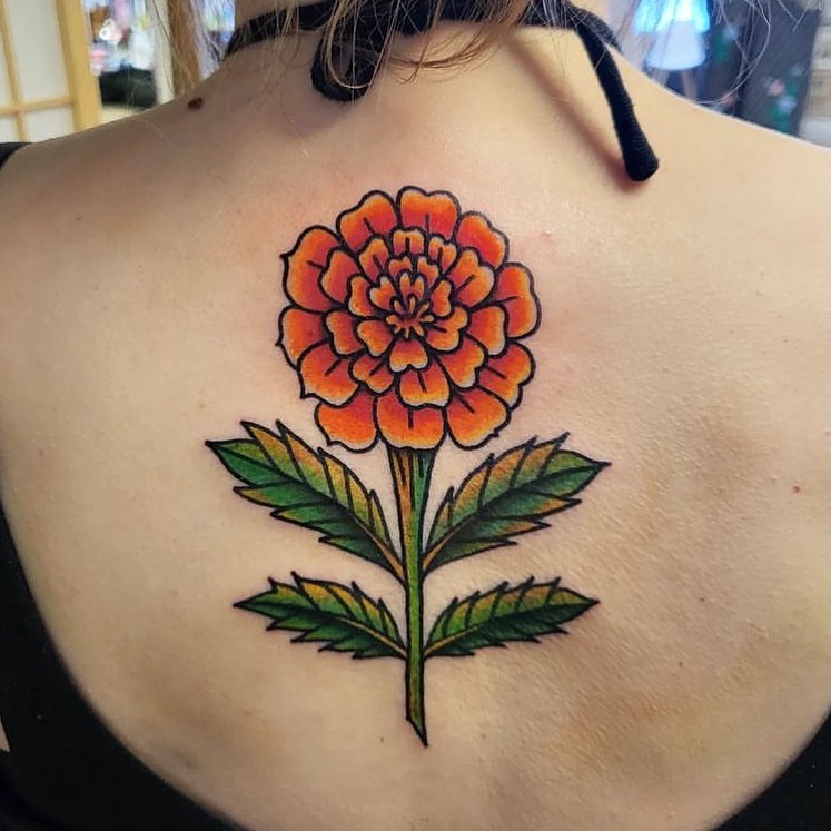 Vibrant Marigold Bloom