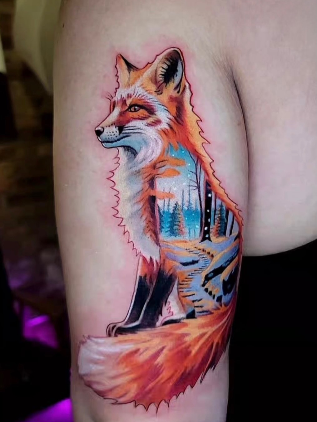 Vibrant Fox Portrait
