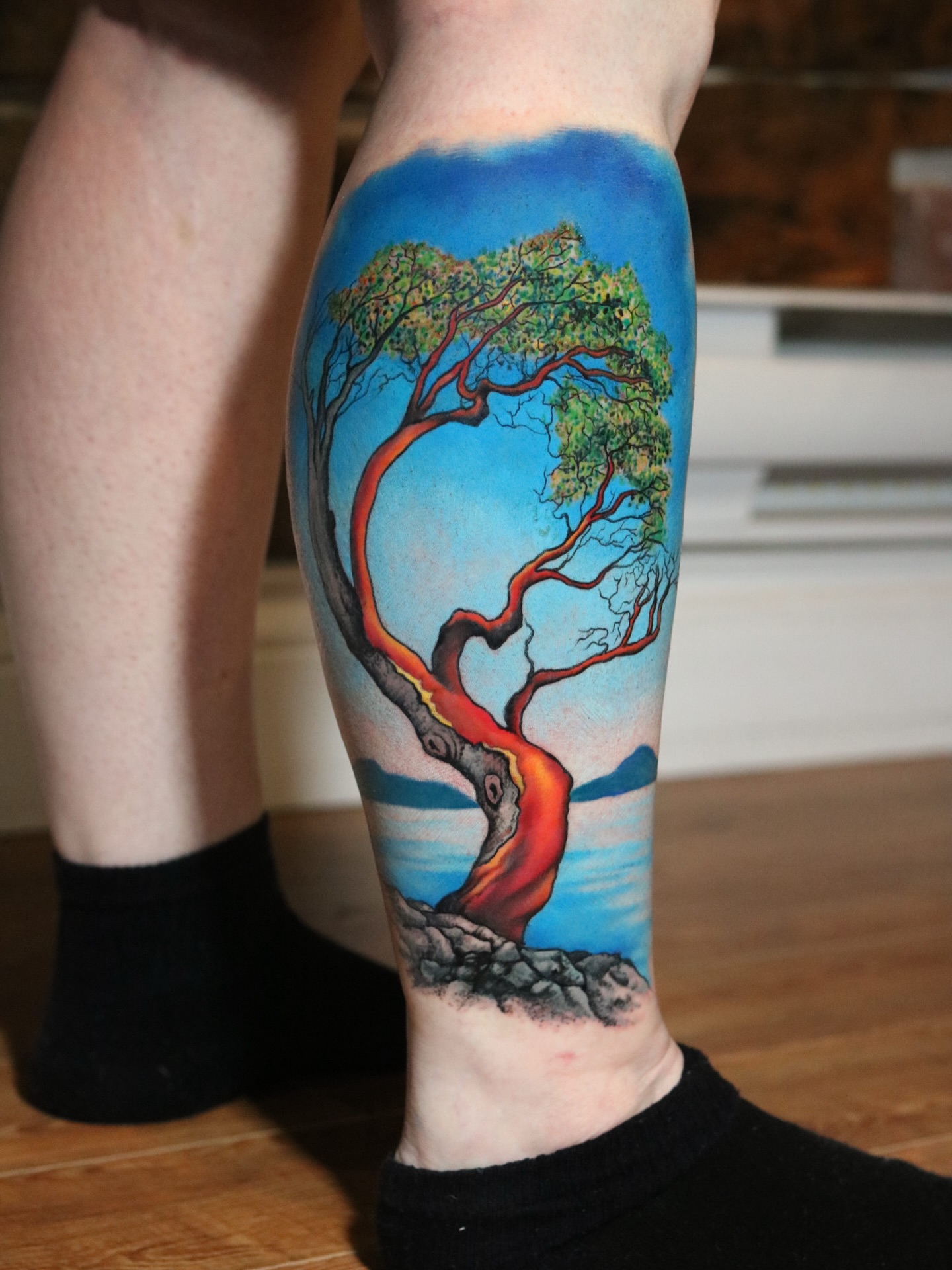 Vibrant Twisted Tree