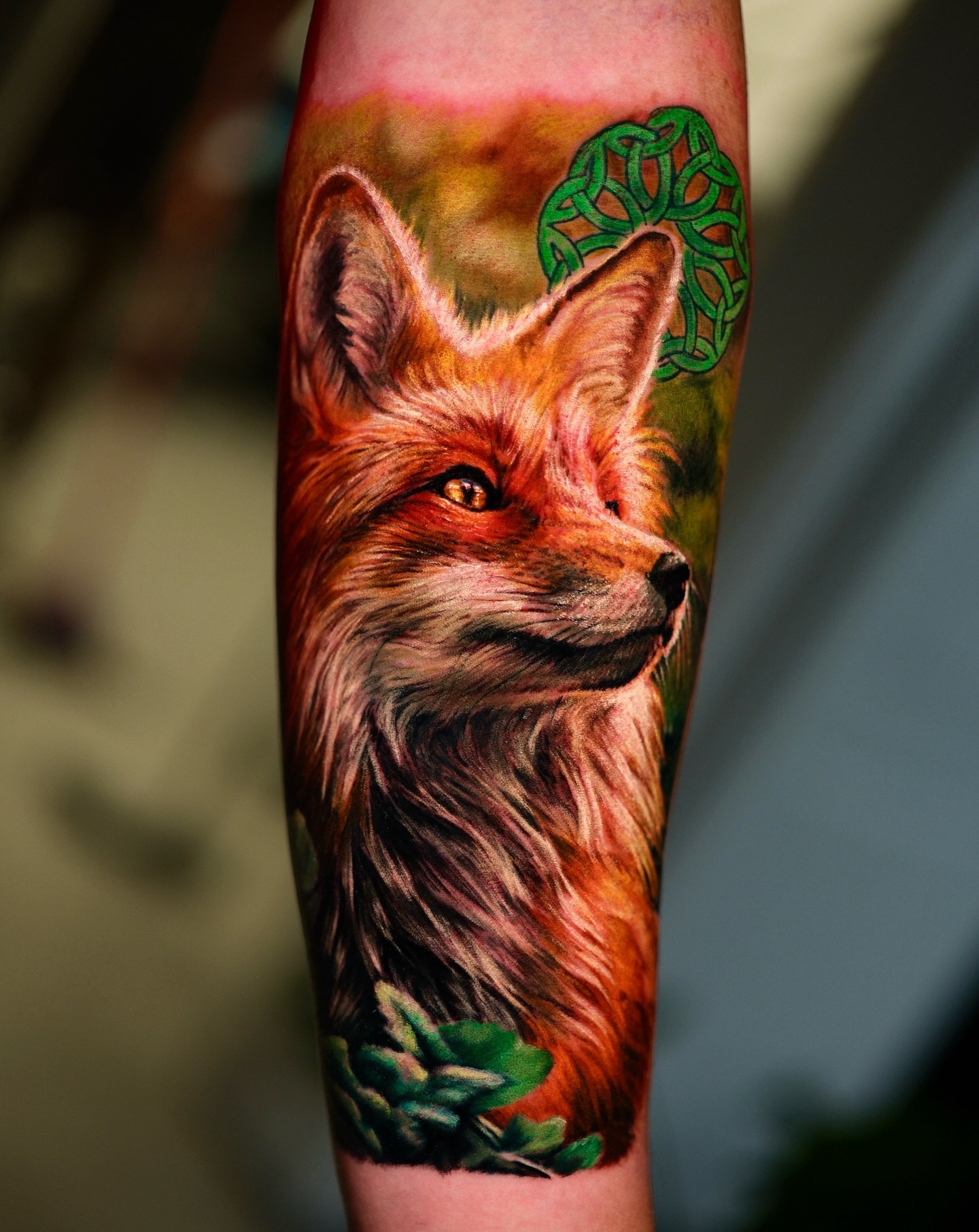 Vivid Fox Portrait