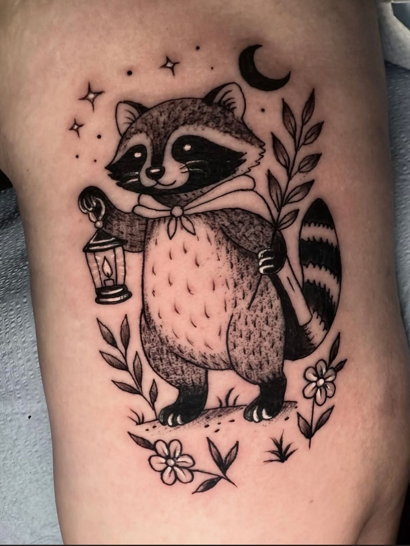 Whimsical Night Raccoon
