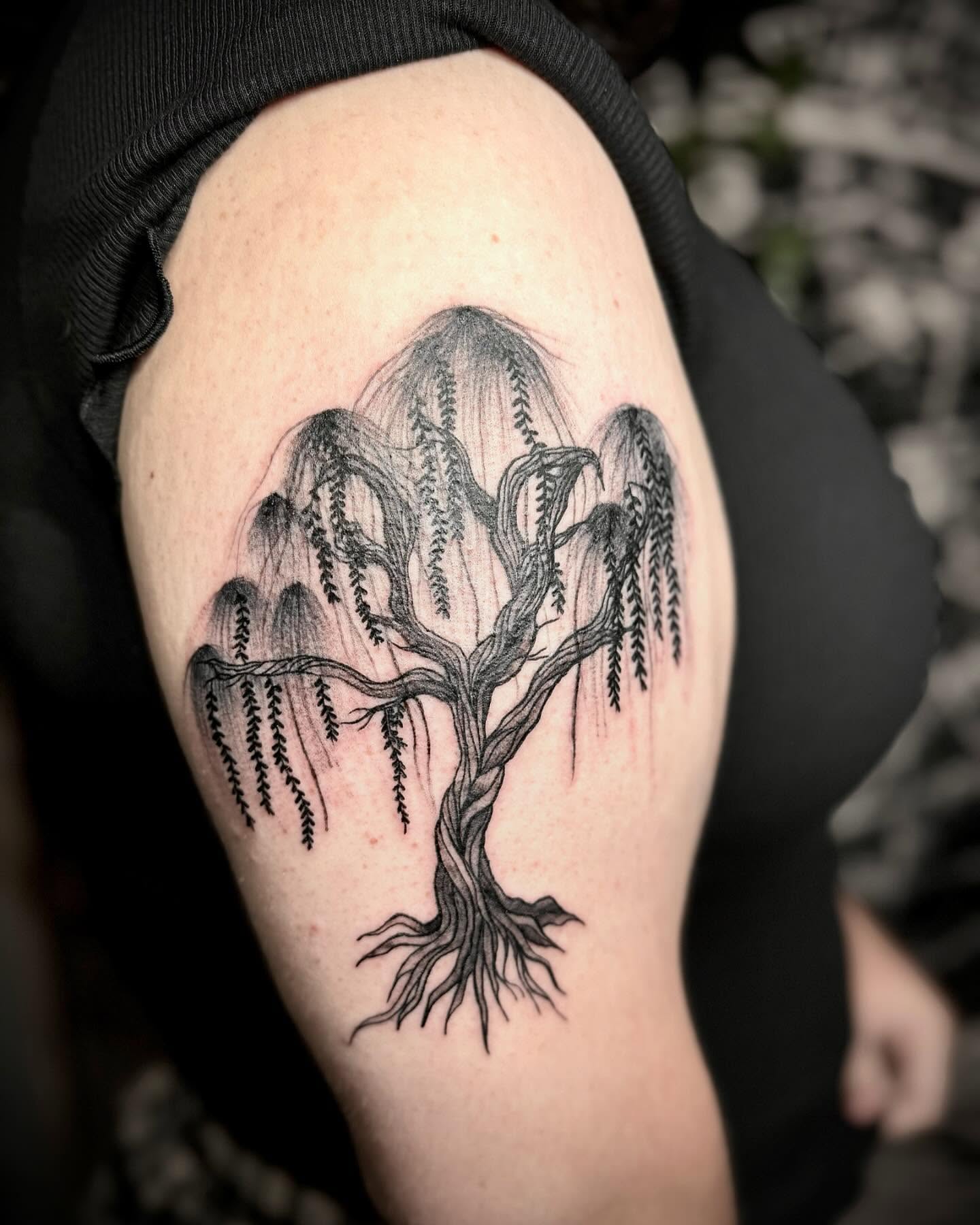 Whimsical Willow Tree