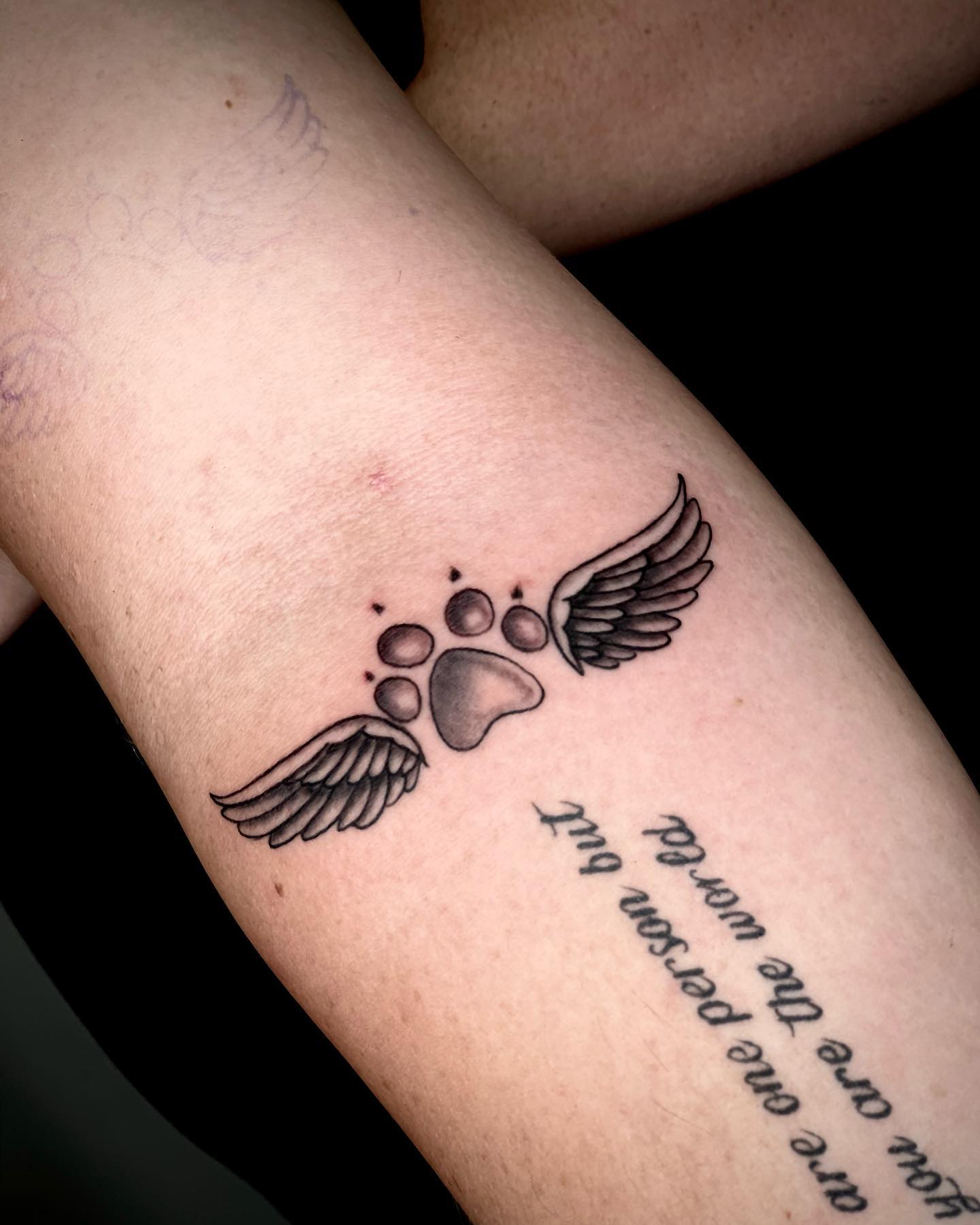 Winged Cat Paw